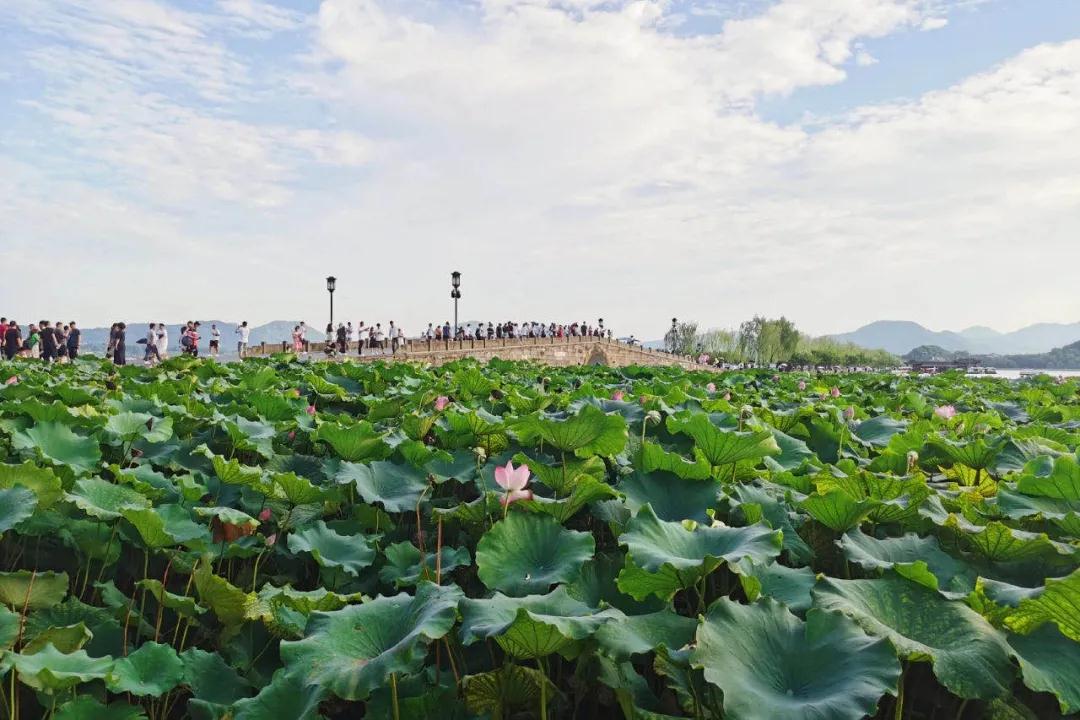 2021安徽萬(wàn)業(yè)企業(yè)管理有限公司杭州團(tuán)建旅行西湖